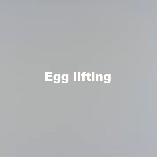 egg lifting